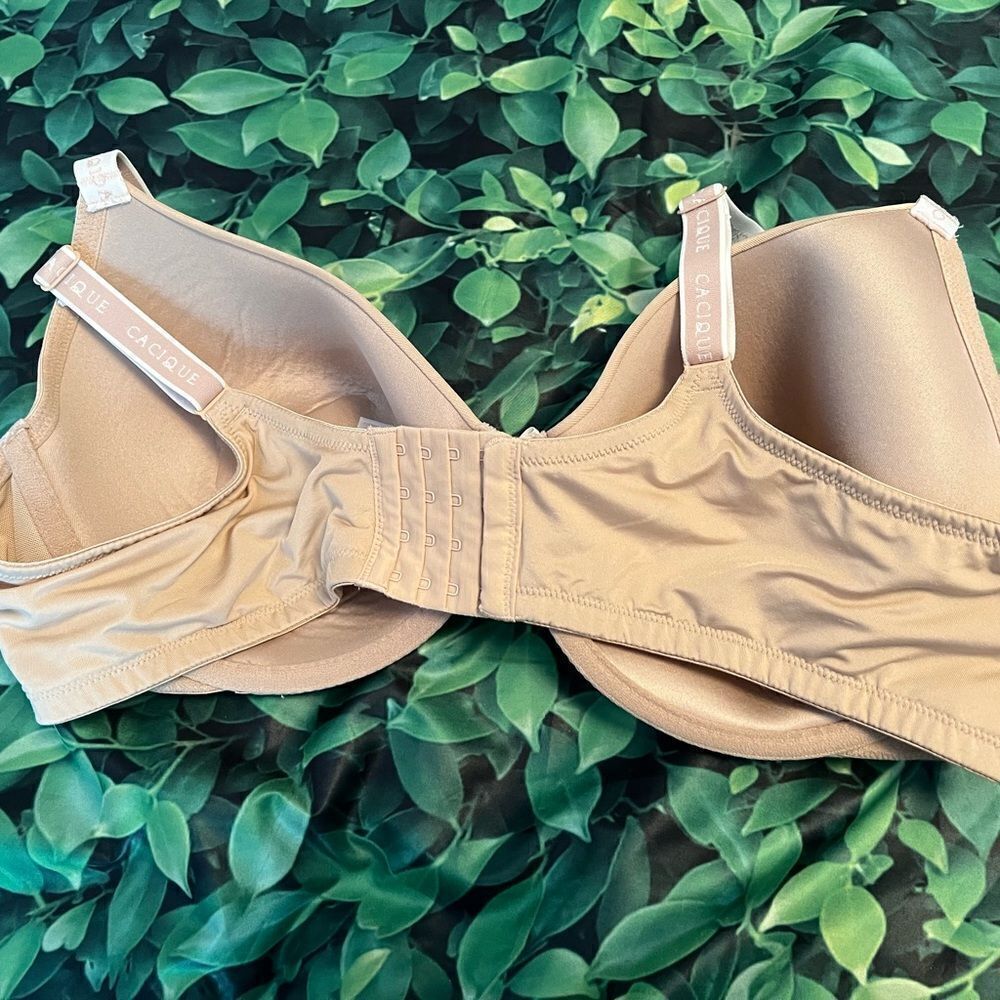 Cacique Bra  - Picture 3 of 3